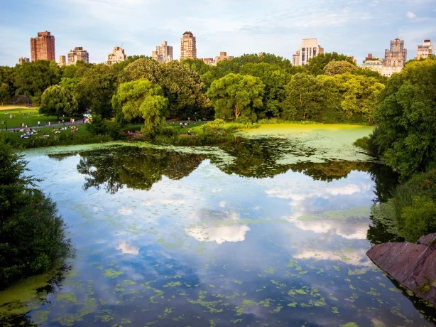 New york central park lake