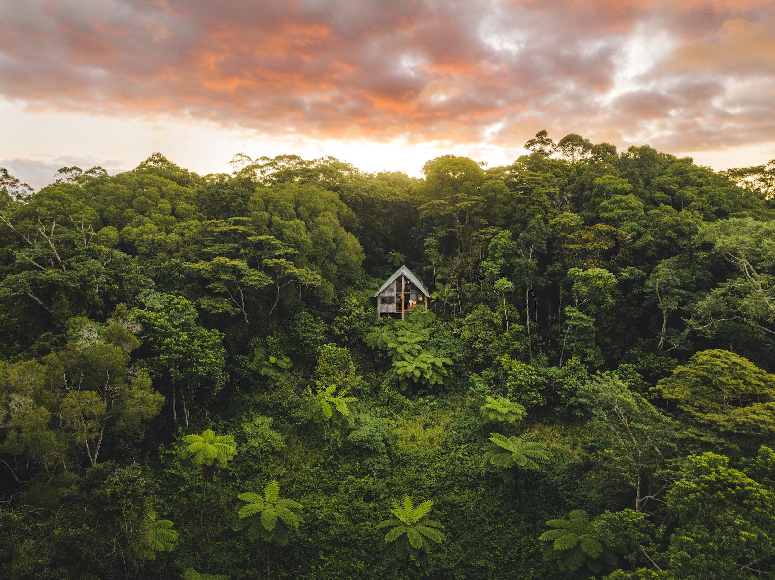 Een houten huis in het tropische woud, Atherton Wilderness Retreat in Australië