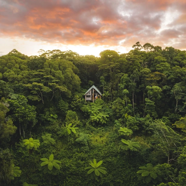 Een houten huis in het tropische woud, Atherton Wilderness Retreat in Australië