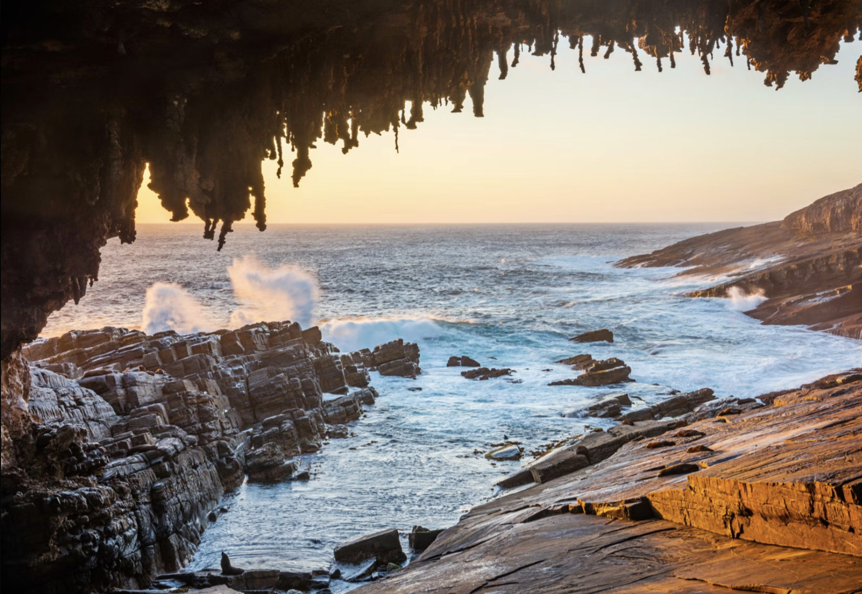 Uitzicht op de zee vanaf Admirals Arch op Kangaroo Island in Australië