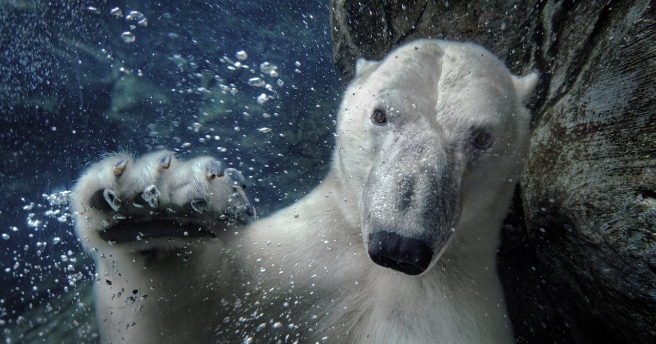 Arielle Rylands Owned 2041 wl efcc650c ab8d 49e4 8424 ae24f4dcd217 medium