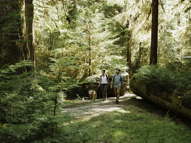 British Columbia hike