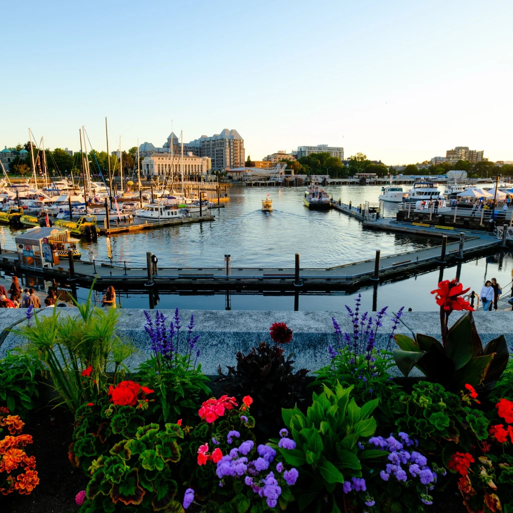 CA BC Vancouver Island Inner Harbour vlad d unsplash