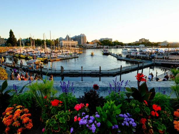 CA BC Vancouver Island Inner Harbour vlad d unsplash