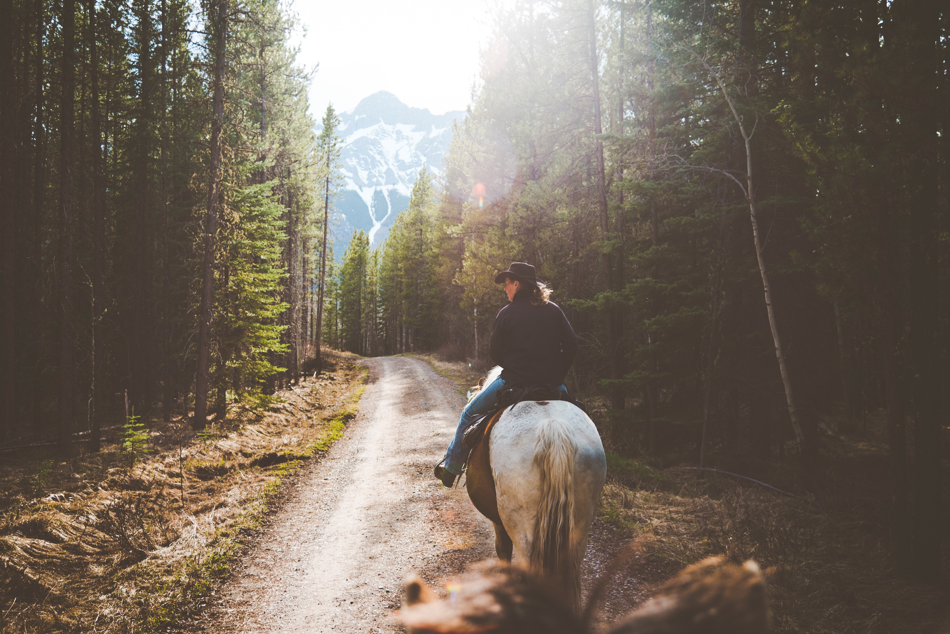 CAN Alberta Horseriding