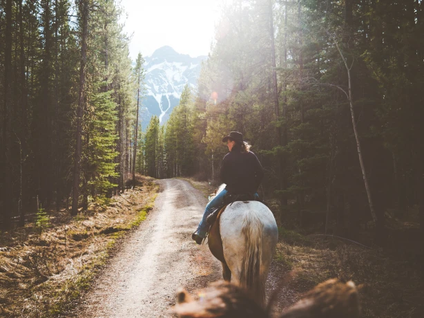 CAN Alberta Horseriding