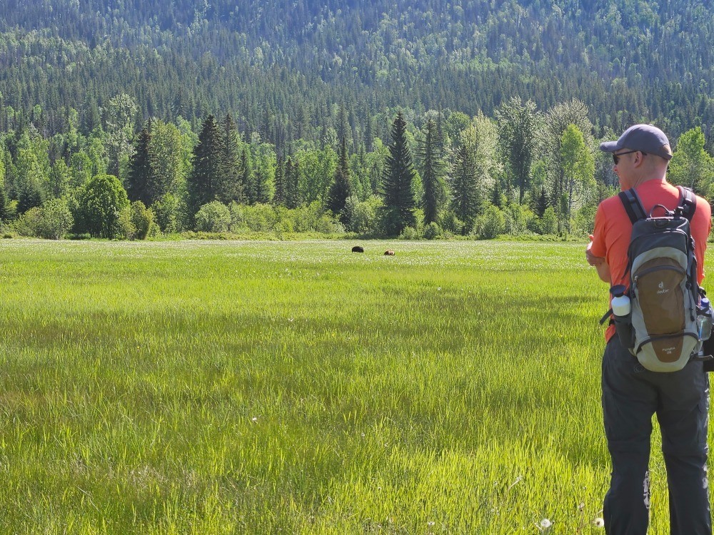 Clearwater Springs In het veld met beren