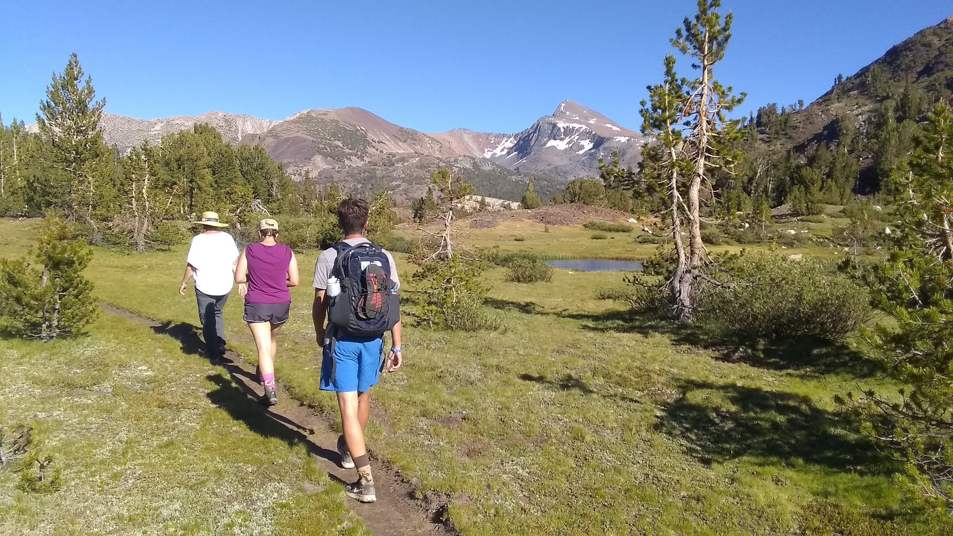 Family Yosemite National Park California United States Hike View Guide Service 547515