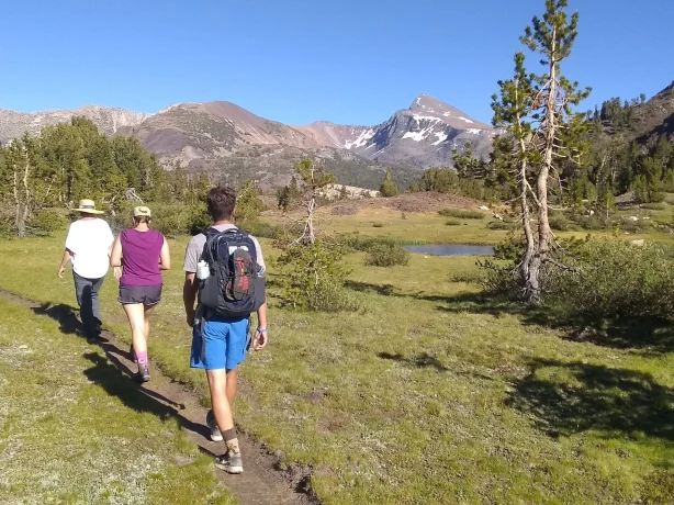 Family Yosemite National Park California United States Hike View Guide Service 547515