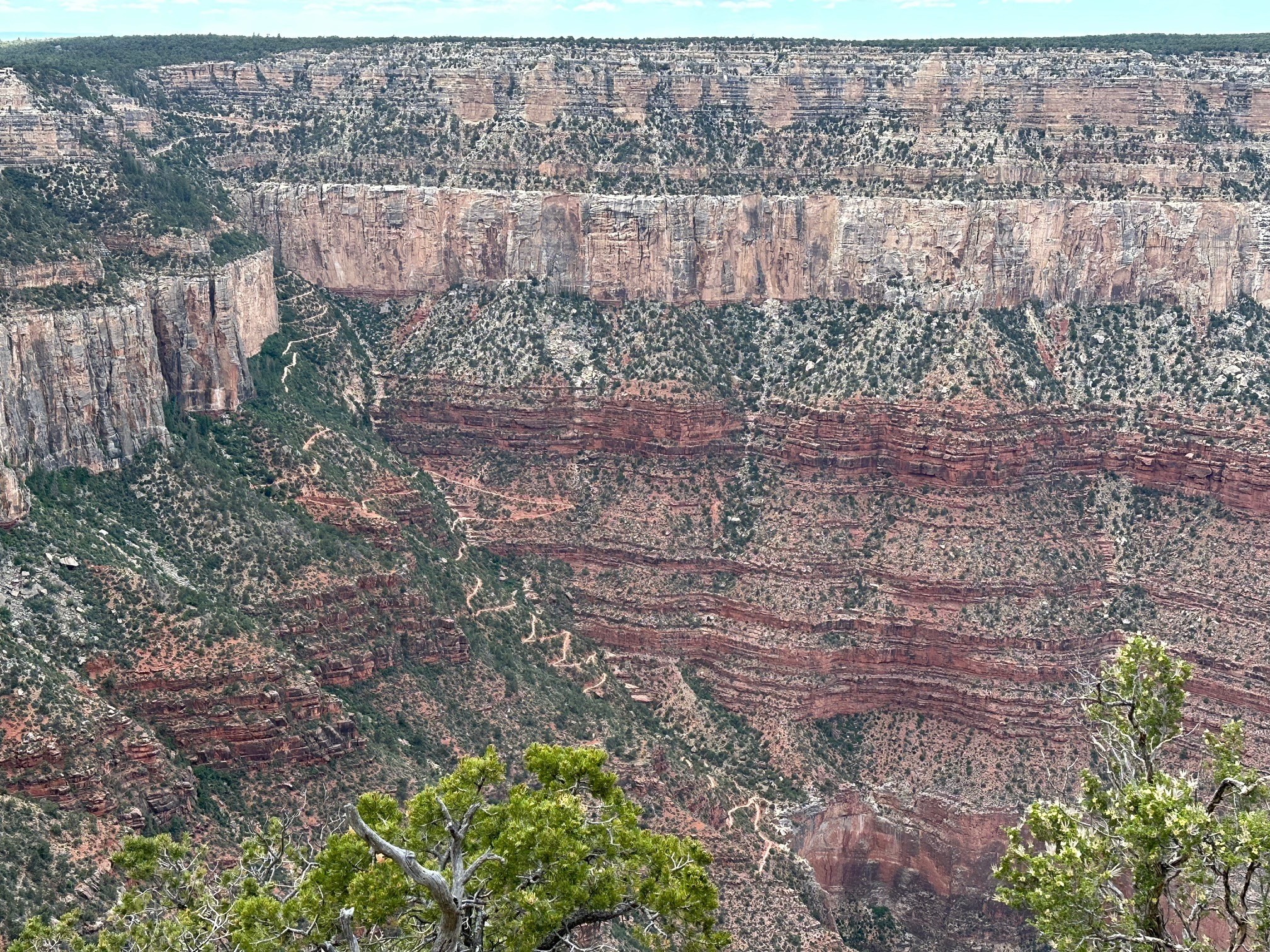 Grand Canyon Family Cesar
