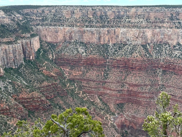 Grand Canyon Family Cesar