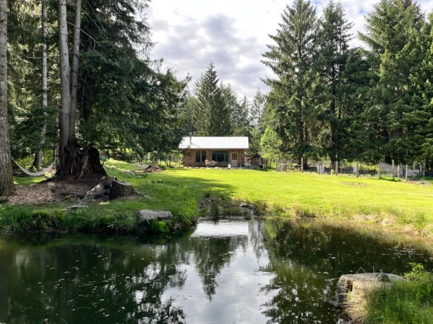 Island Bliss Carol s Garden Workshop 1