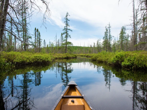 LA East Canada Algonquin National Park mehran meidani unsplash
