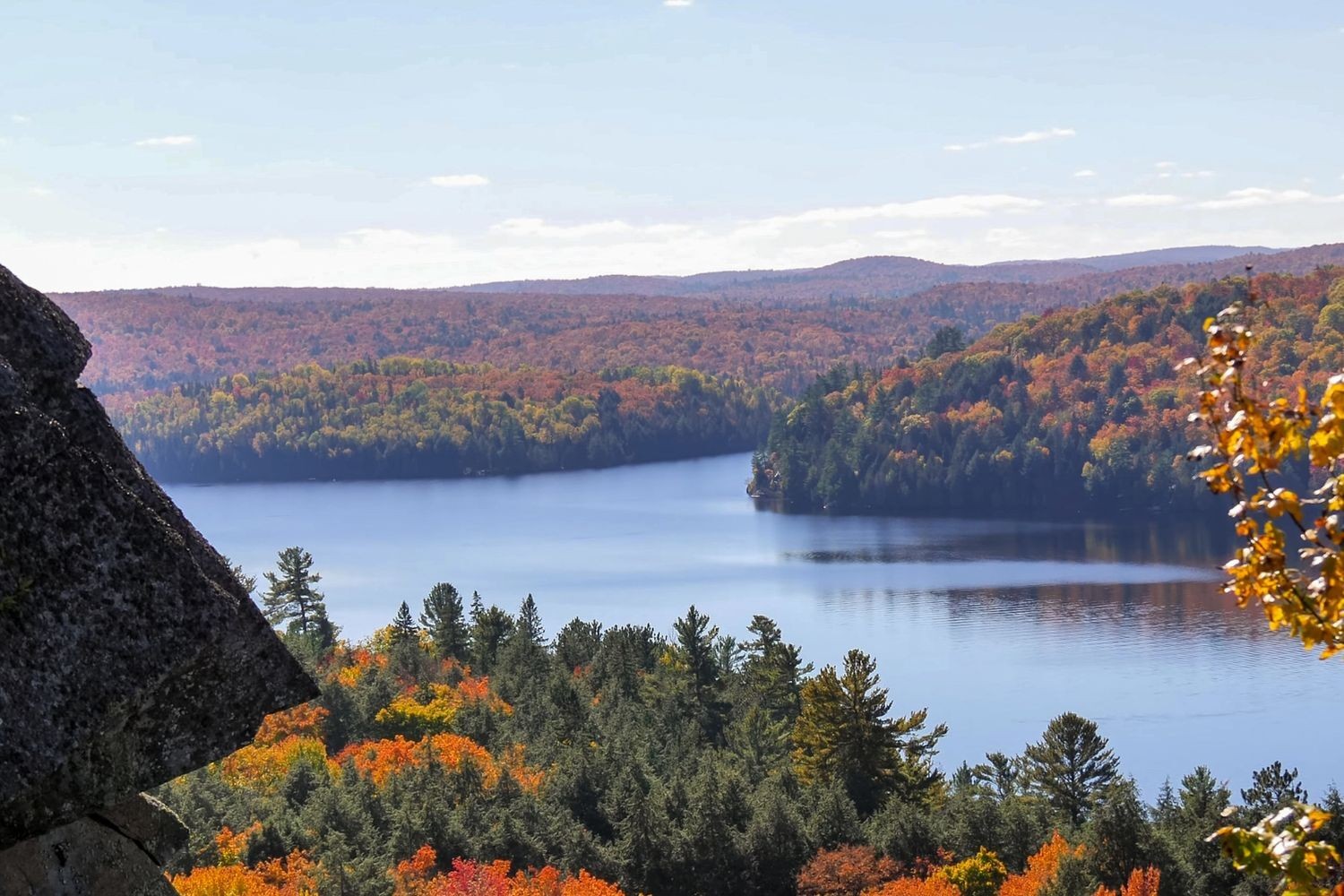 LA East Canada Algonquin Park river