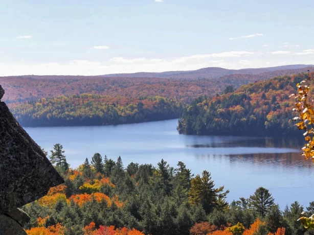 LA East Canada Algonquin Park river