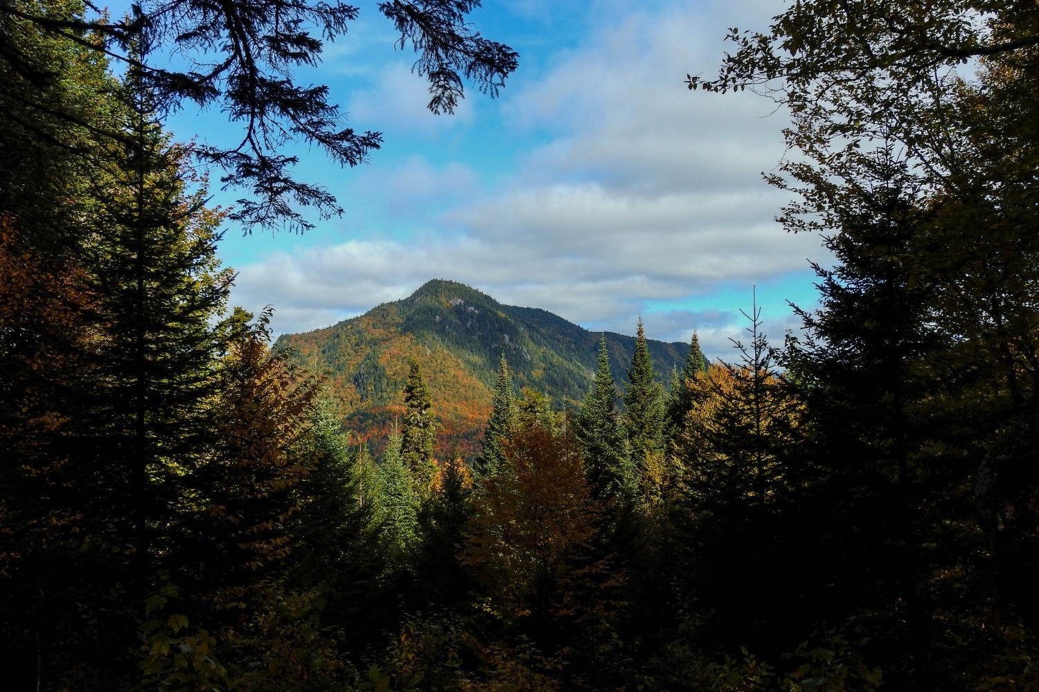 LA places East Canada Quebec Jacques Cartier National Park mountain