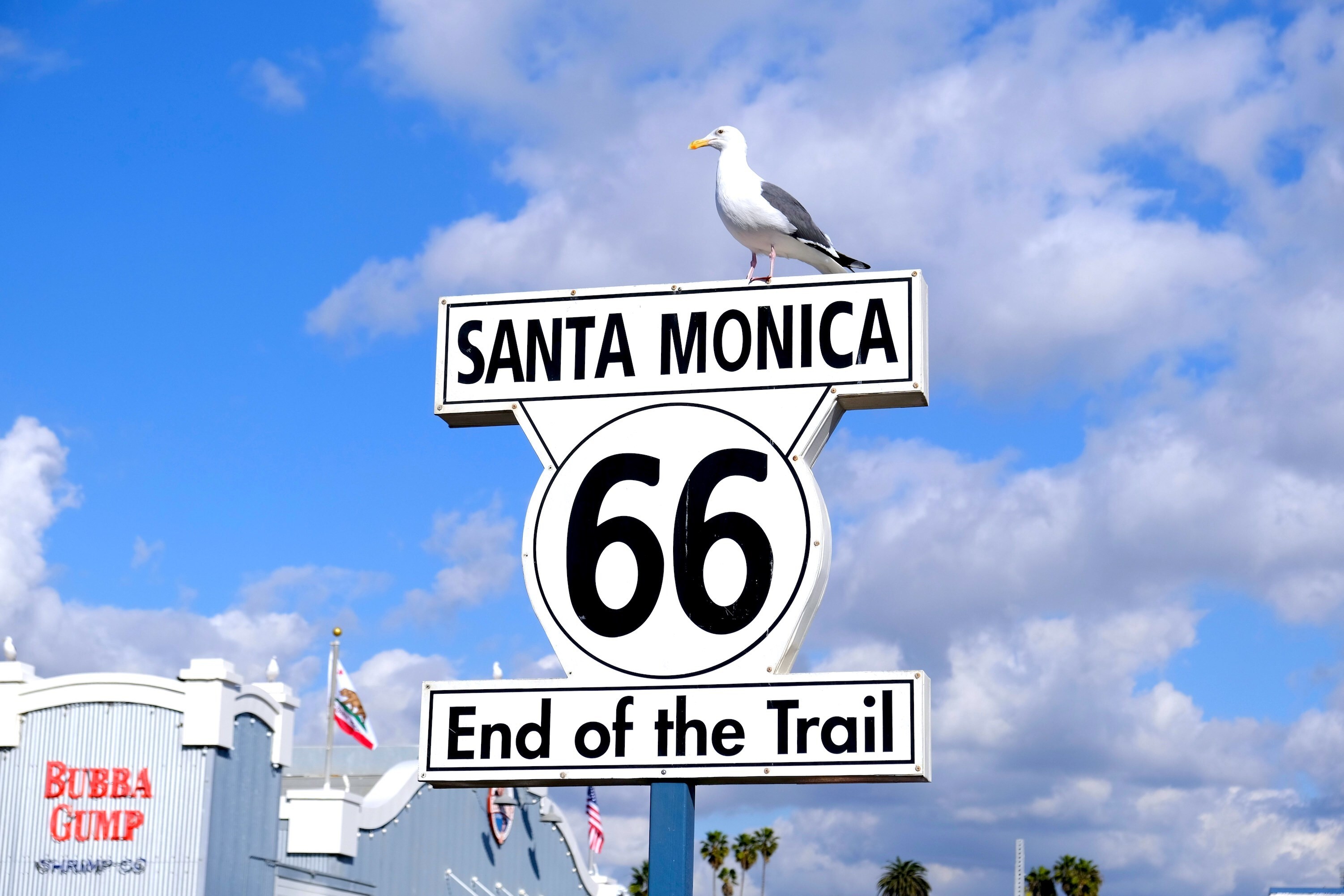 Het Route 66 bord "End of the Trail" in Santa Monica, VS, met een meeuw bovenop tegen een felblauwe lucht.