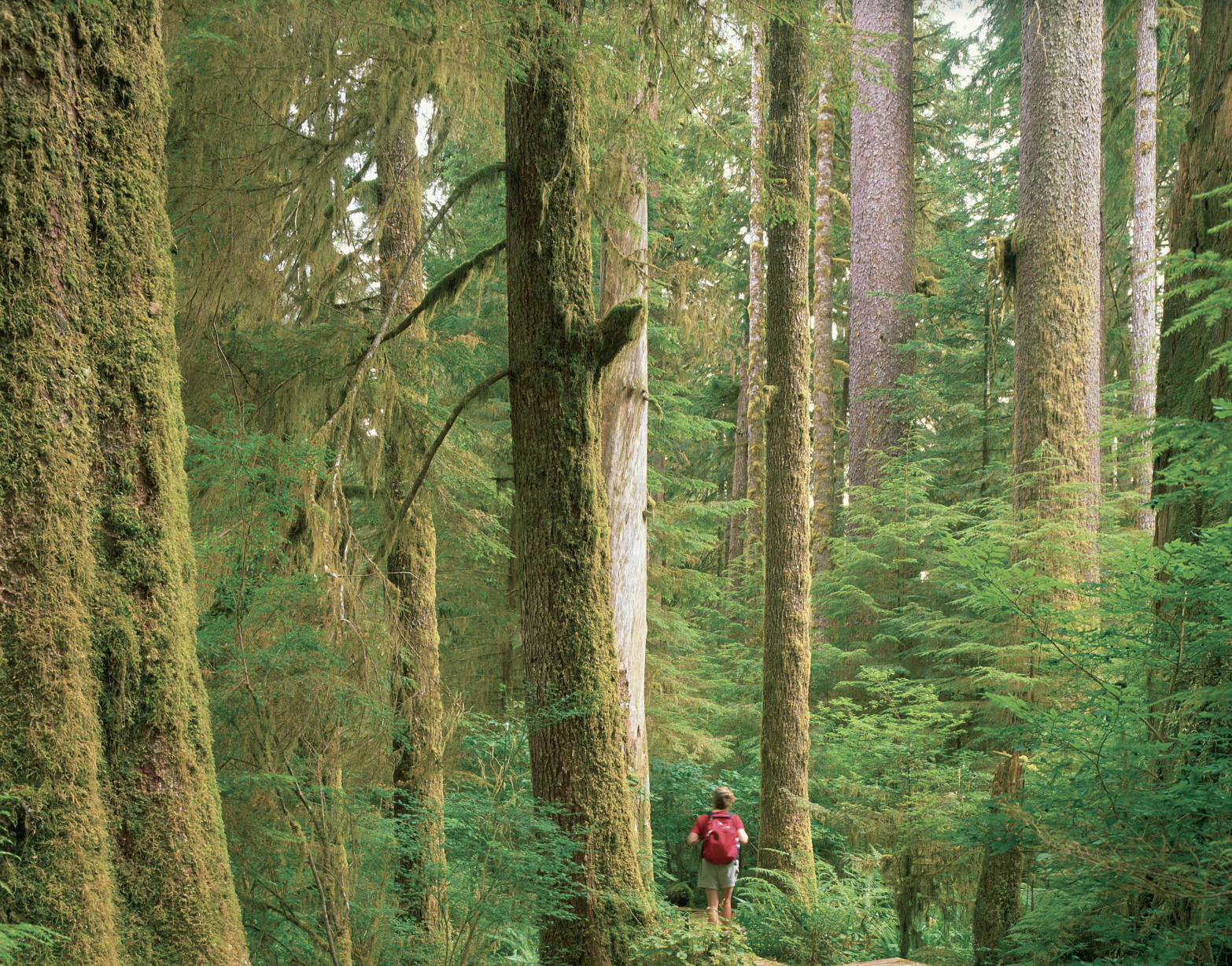 Screenshot 2023 03 13 at 15 23 54