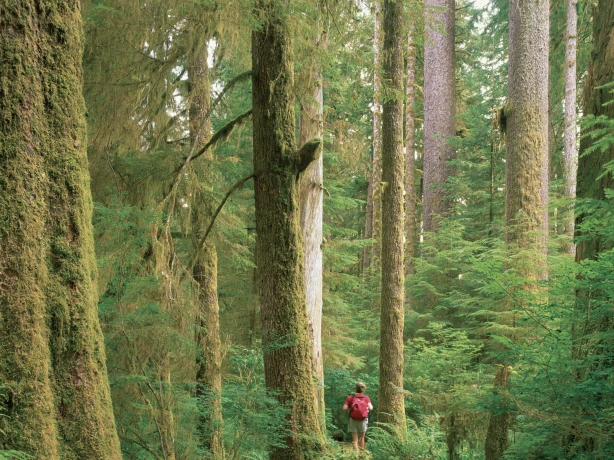 Screenshot 2023 03 13 at 15 23 54