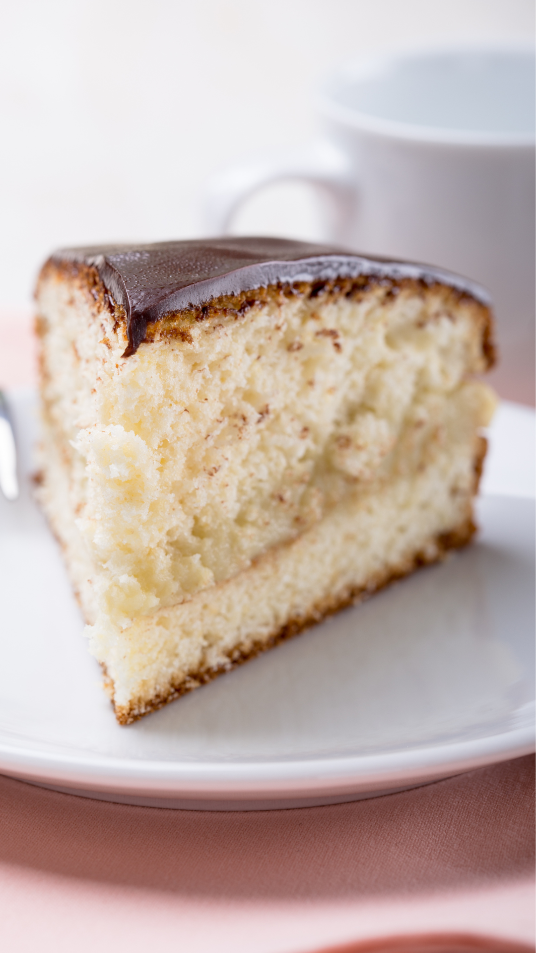 US New England Boston Cream pie
