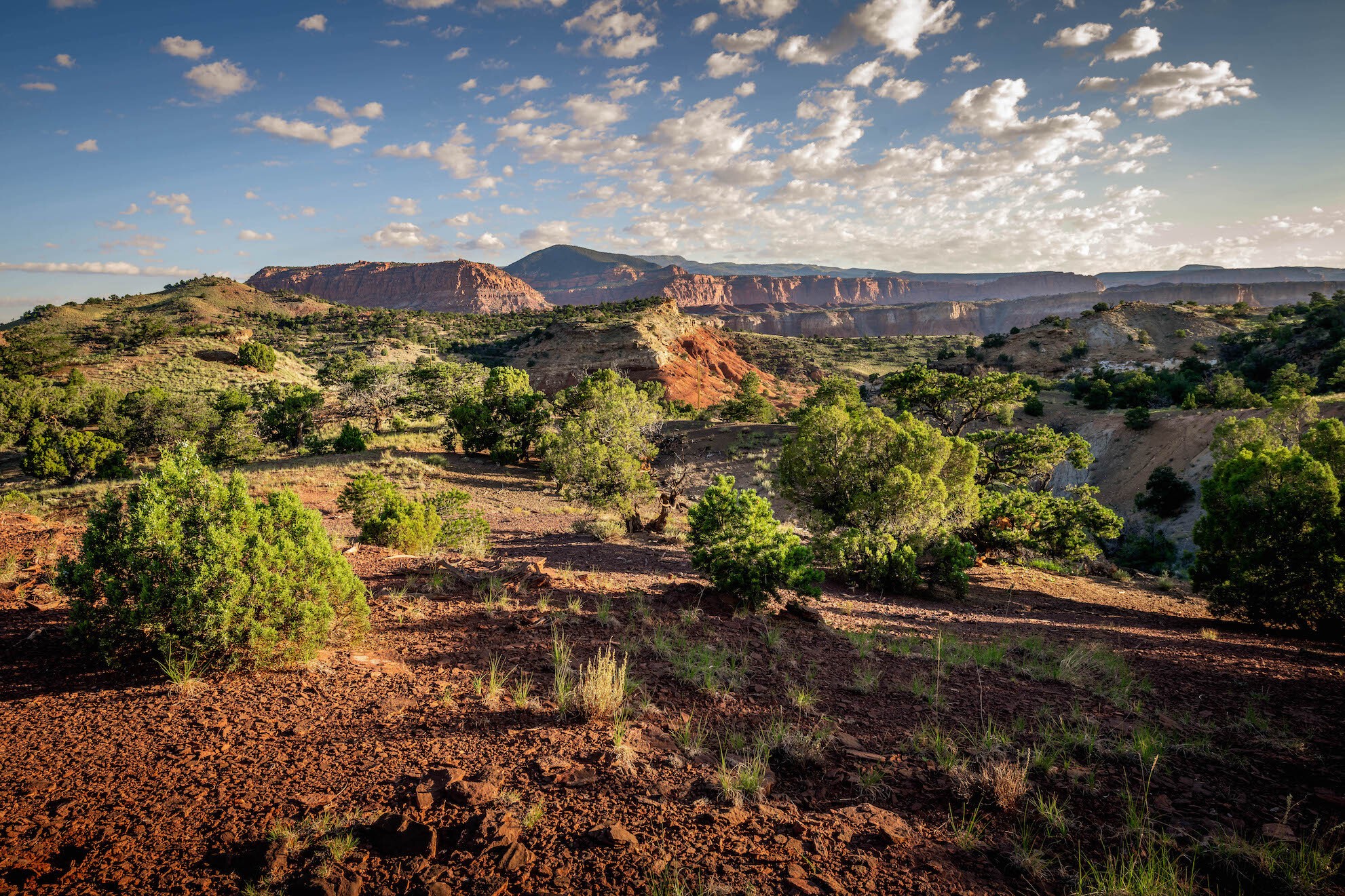 USA Utah Wayne County Teasdale Wüste