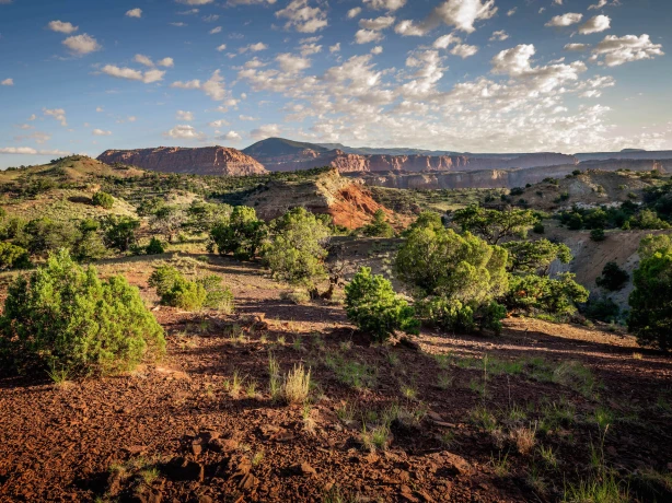 USA Utah Wayne County Teasdale Wüste