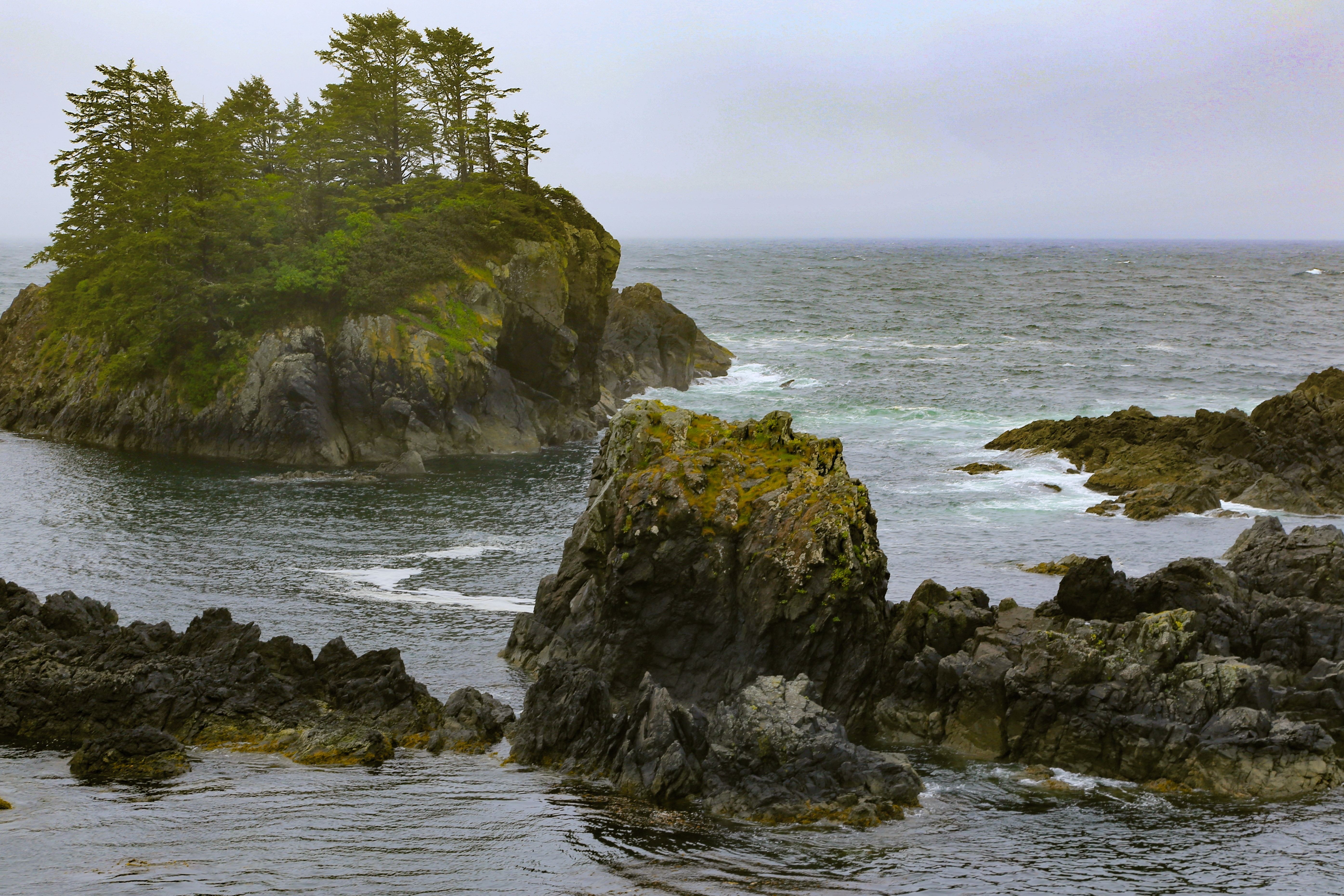 Mike benna unsplash wld pacific trail canada blog