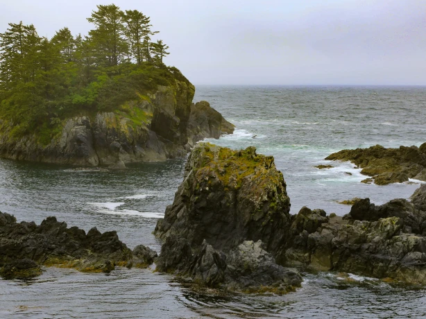 Mike benna unsplash wld pacific trail canada blog