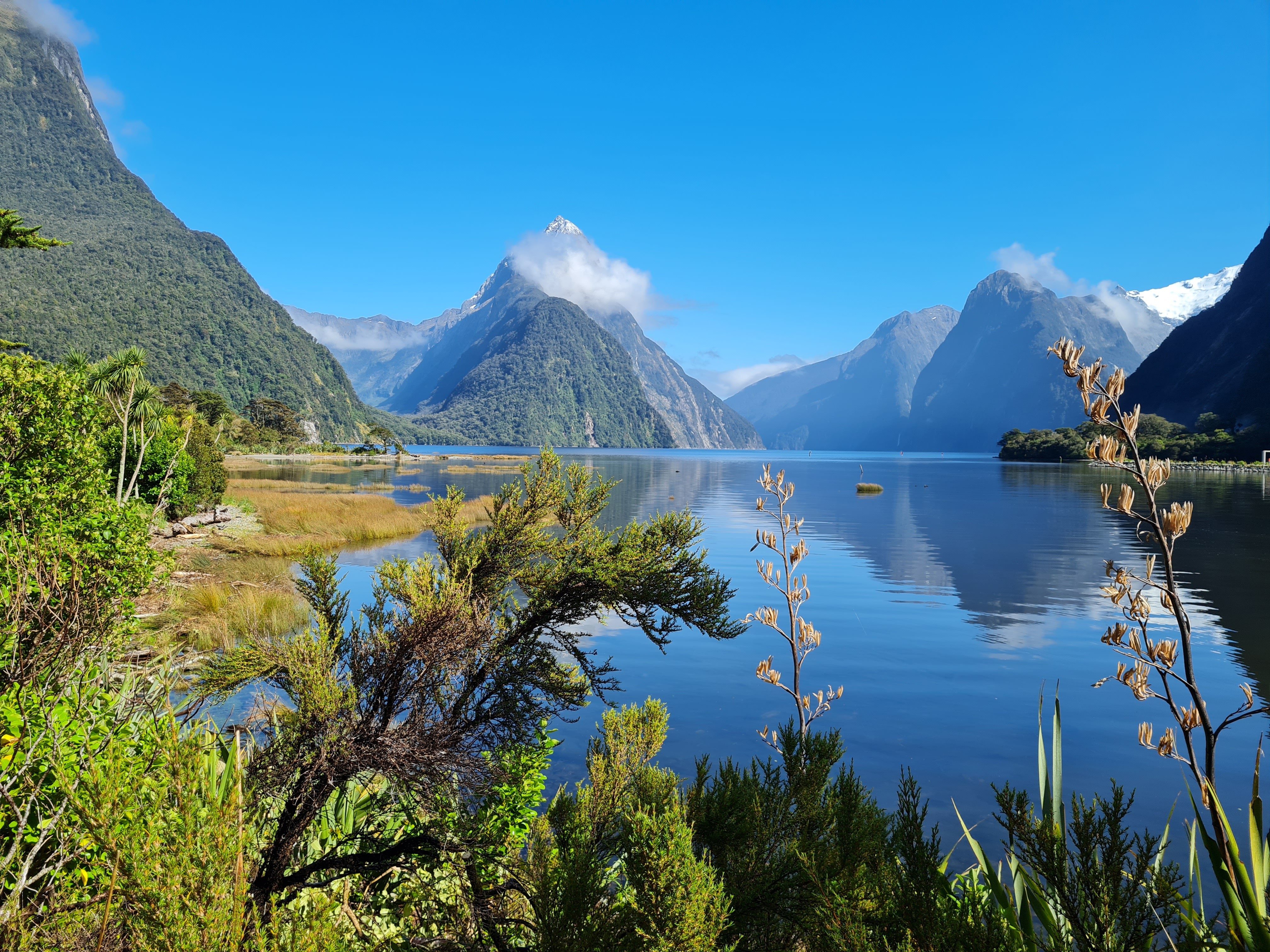 Uitzicht over een meer in het zuiden van Fiordland Milford Wenzel Nieuw-Zeeland
