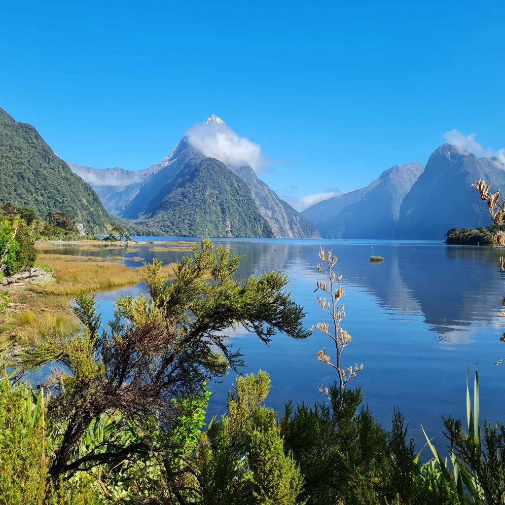 Uitzicht over een meer in het zuiden van Fiordland Milford Wenzel Nieuw-Zeeland