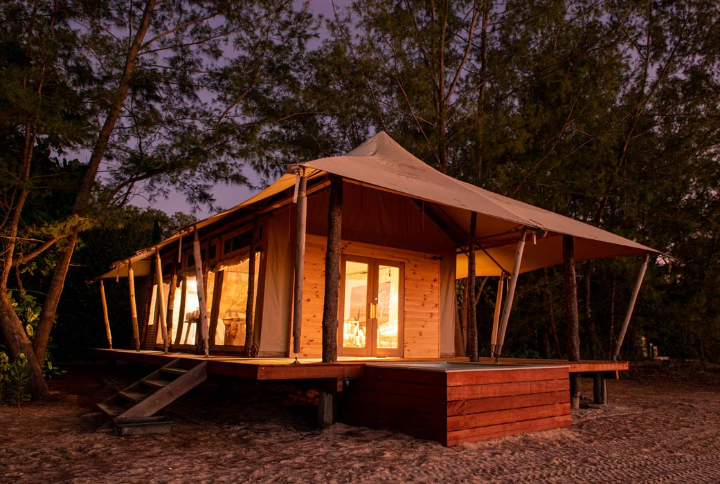 Een houten hut genesteld in het bos