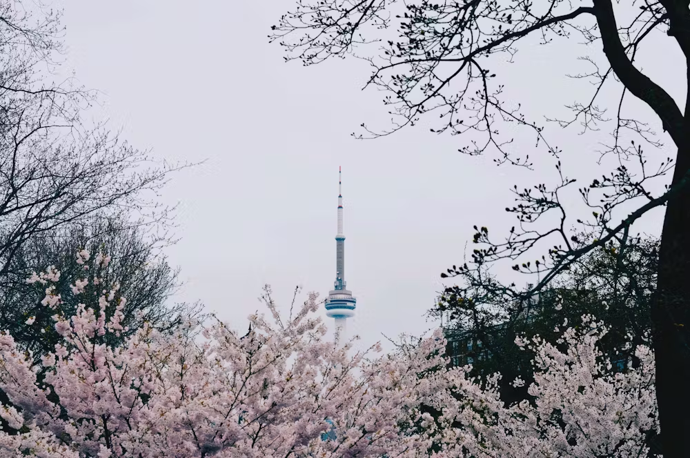 Canada toronto spring jennifer chen