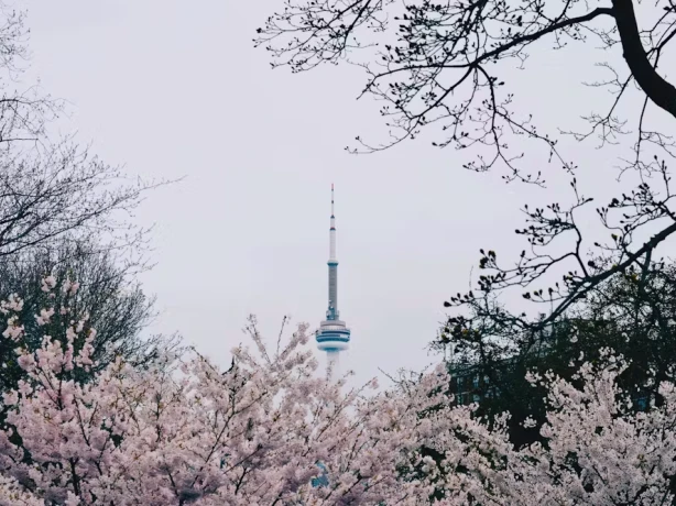 Canada toronto spring jennifer chen