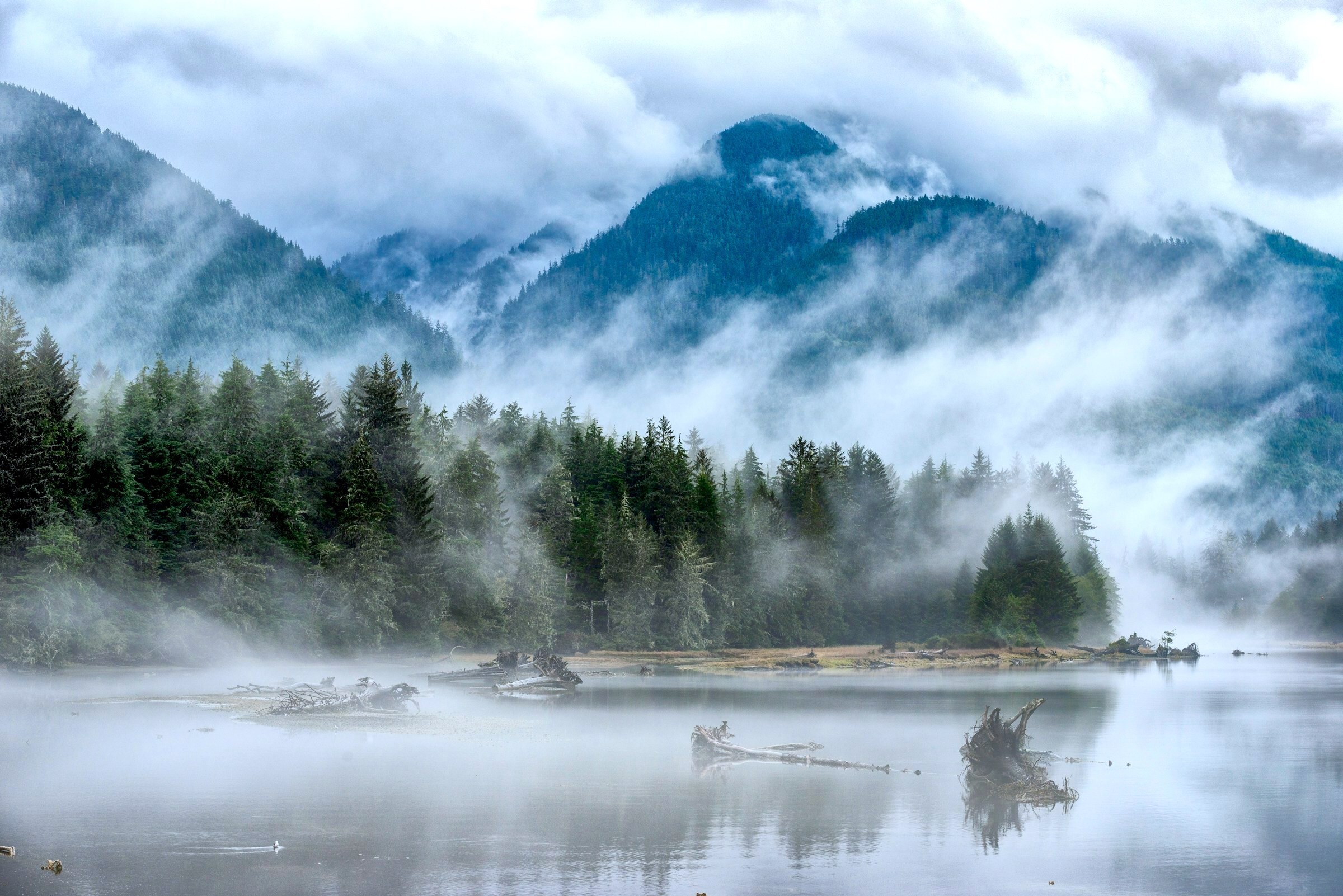 Nevel drijft door de altijd groene bossen en bergen rond Port Renfrew in het kustgebied van British Columbia, Canada, met het stille water dat het landschap weerspiegelt.