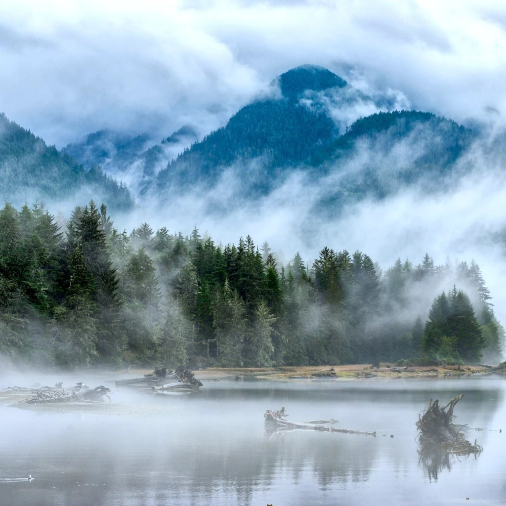 Nevel drijft door de altijd groene bossen en bergen rond Port Renfrew in het kustgebied van British Columbia, Canada, met het stille water dat het landschap weerspiegelt.