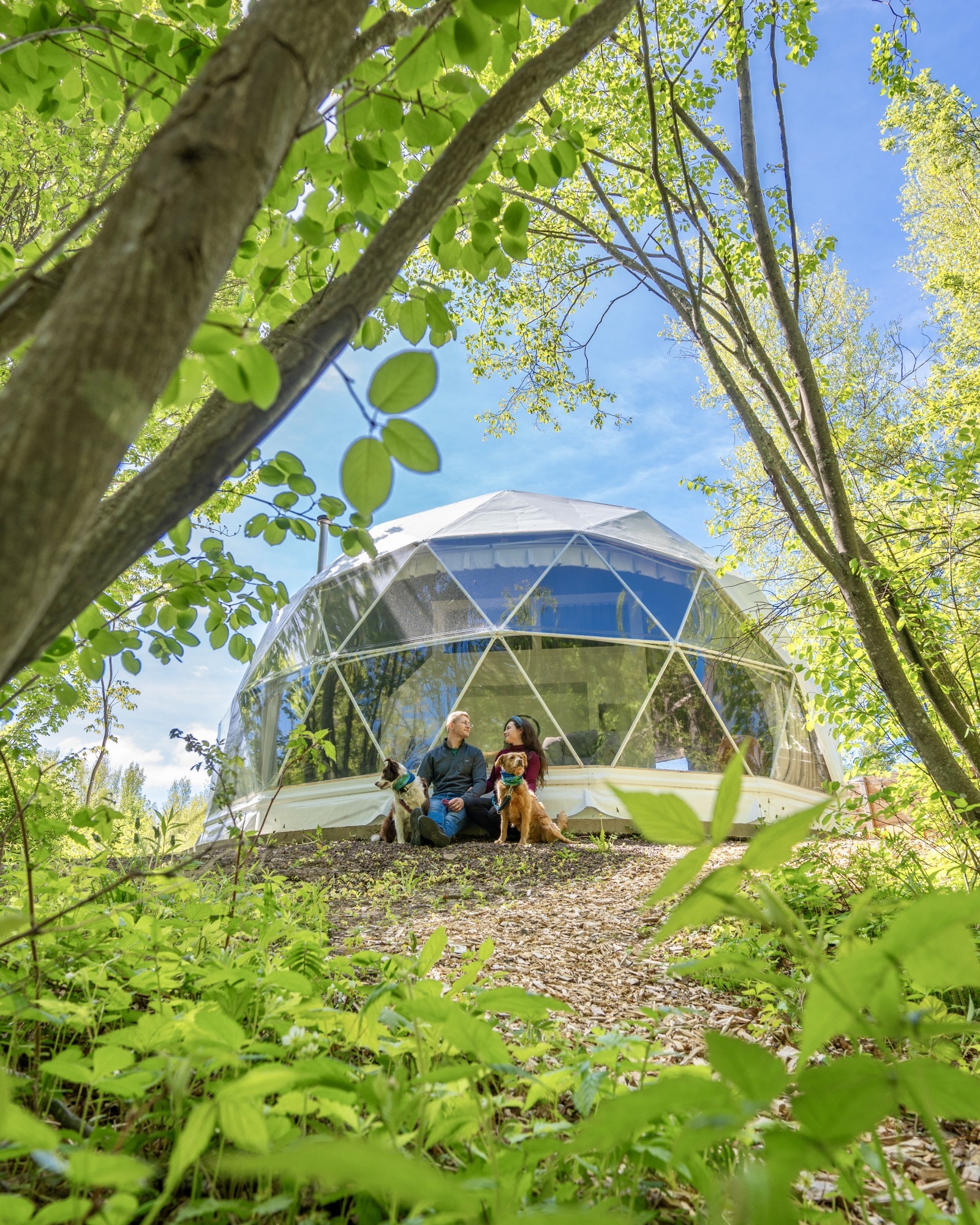 Twee mensen zitten voor een glamping-tent in het bos.