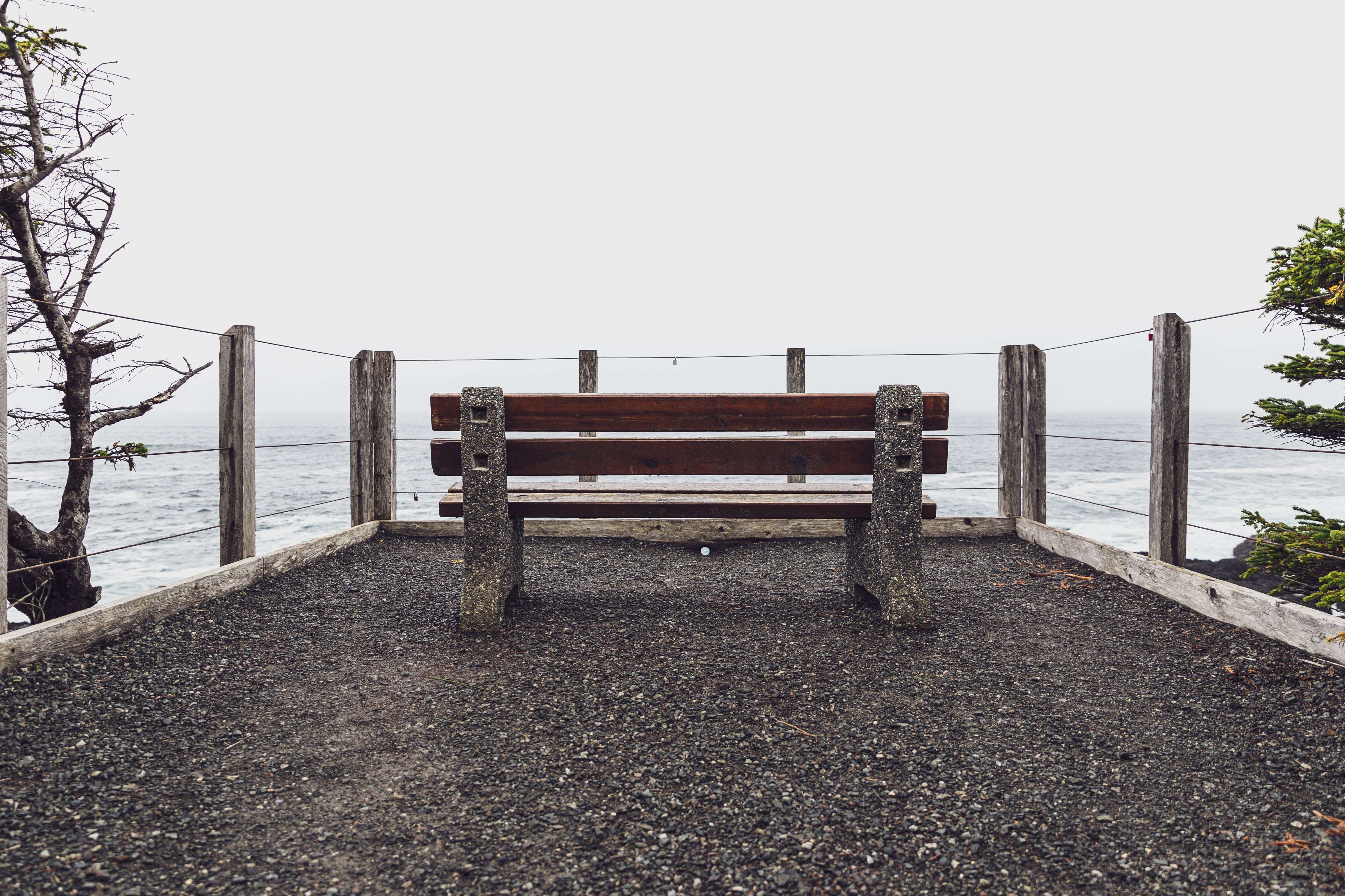 Florian schmetz unsplash wild pacific trail canada