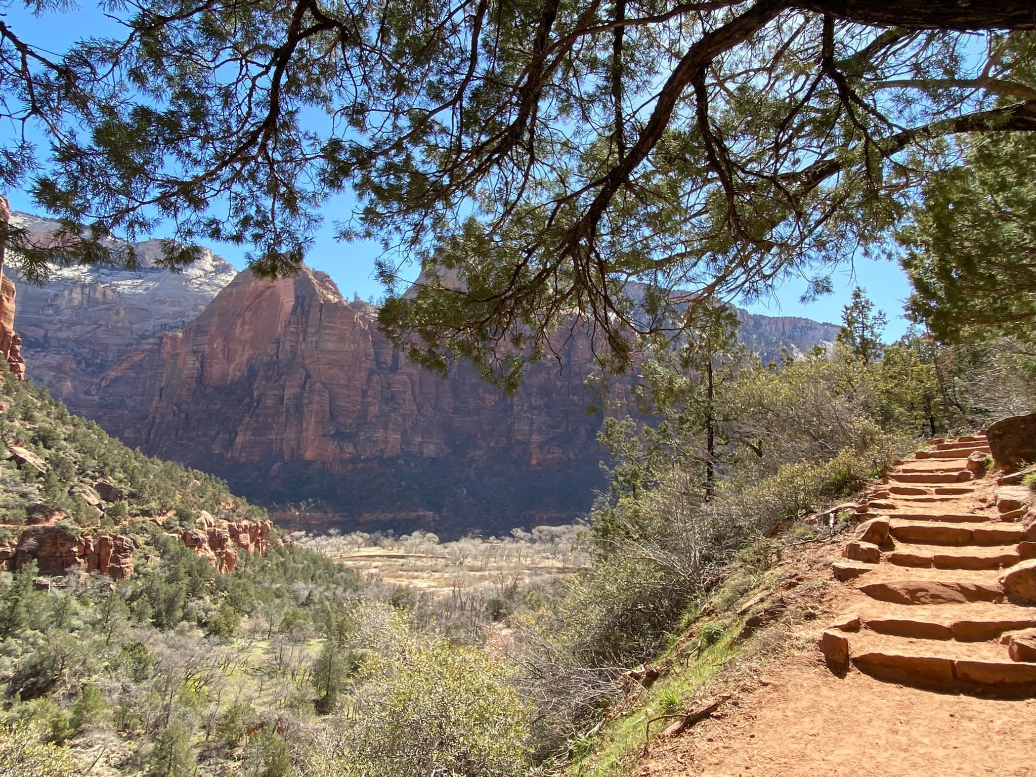 Littleamerica usa zion nationalpark middle emerald pools