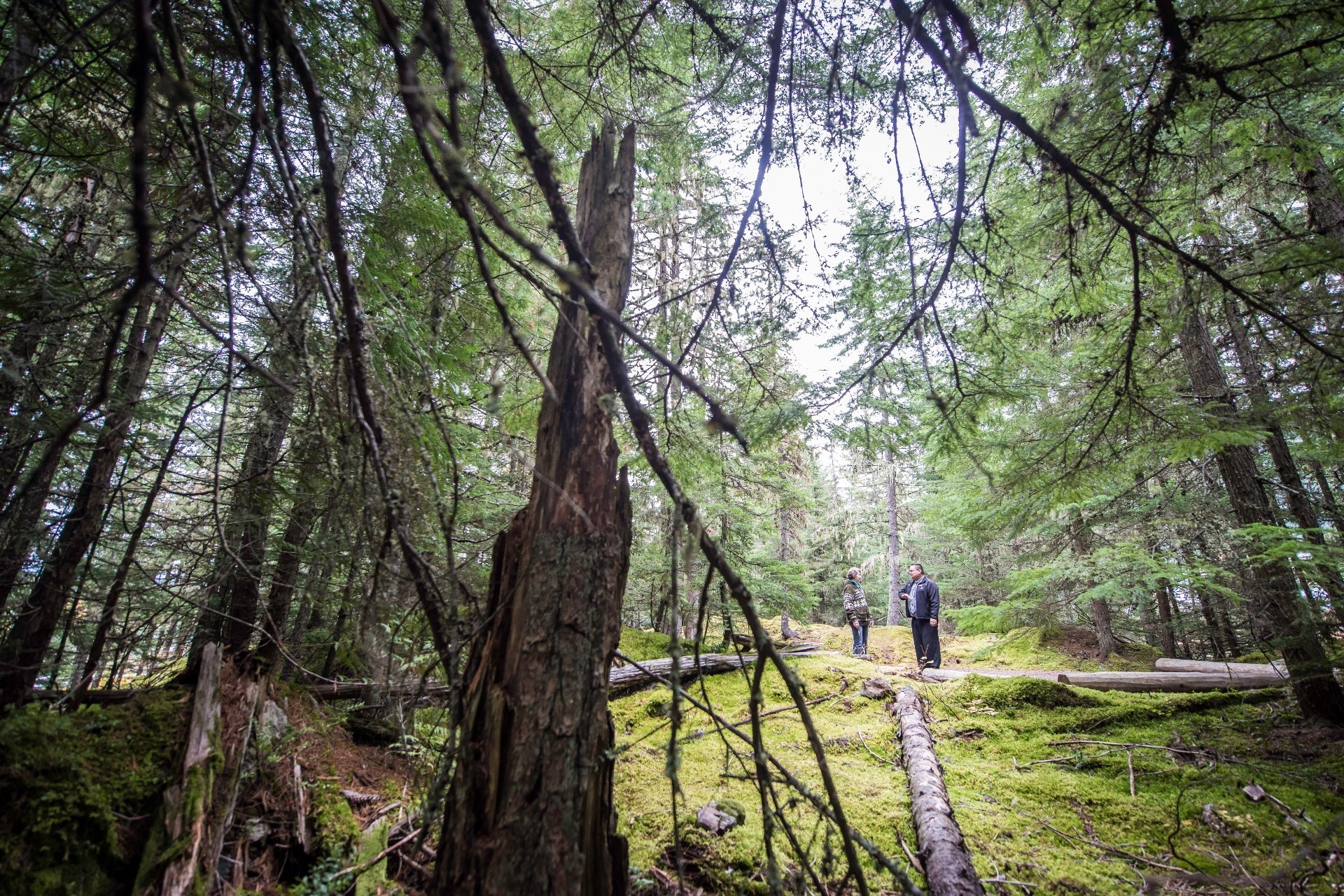 ca_vancouver coast mountains_first nations