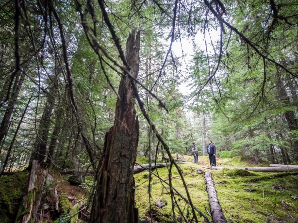 ca_vancouver coast mountains_first nations