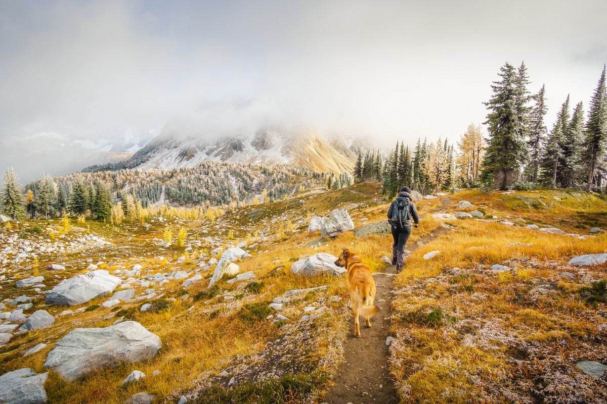 ca_autumn_ hike in jumbo Pass in the kootenay rockies_nature