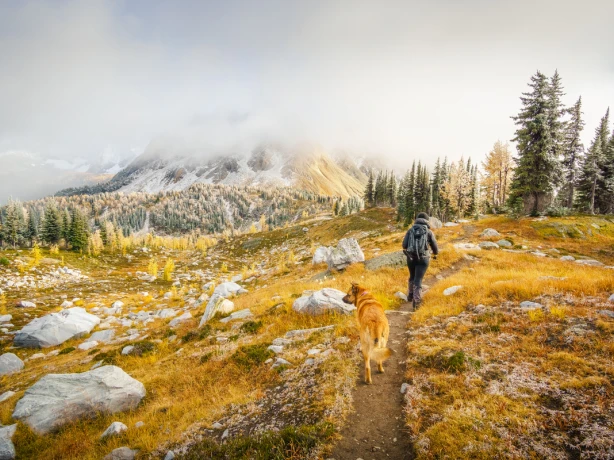 ca_autumn_ hike in jumbo Pass in the kootenay rockies_nature