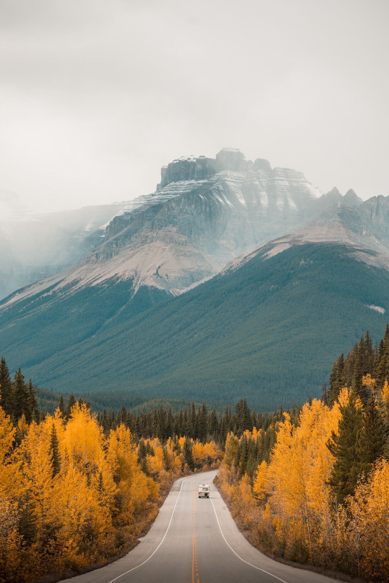 ca_icefields park way_autumn_mountains_jasper national park