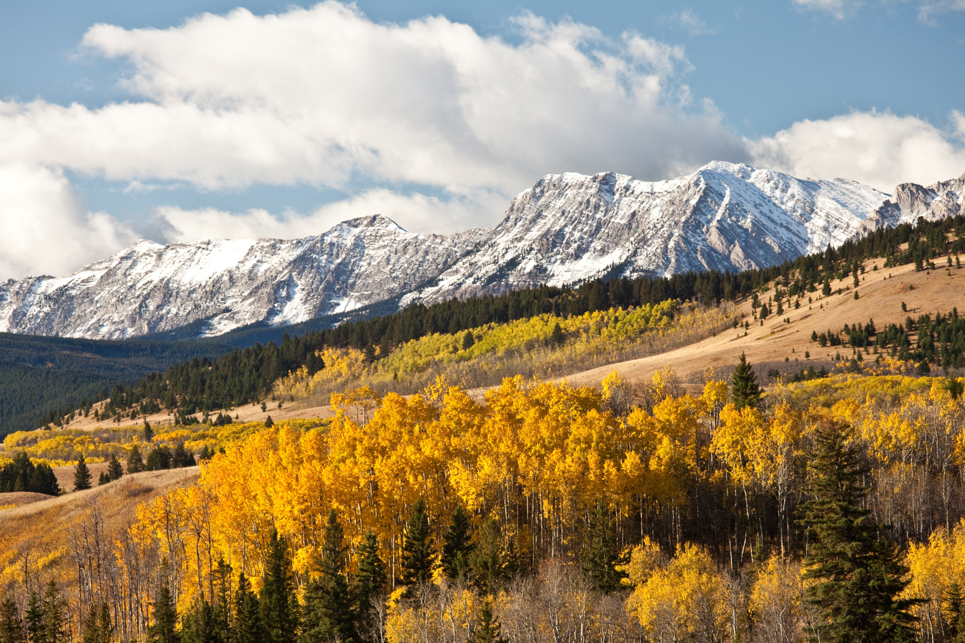Canada Canadian Rockies fall