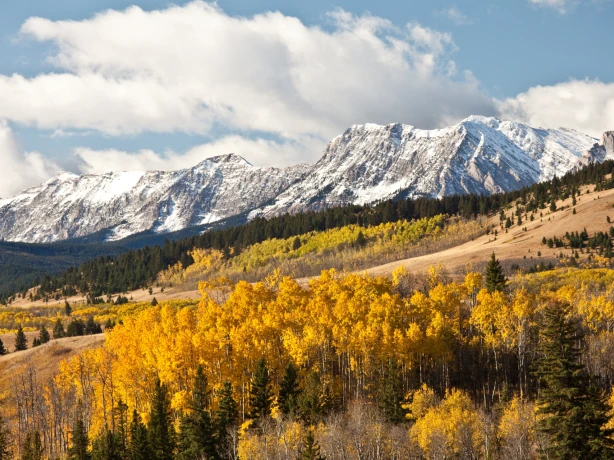 Canada Canadian Rockies fall