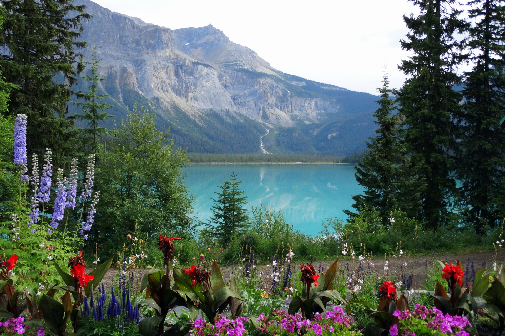 Lentebloemen voor een blauw meer in de Canadese Rockies, Alberta