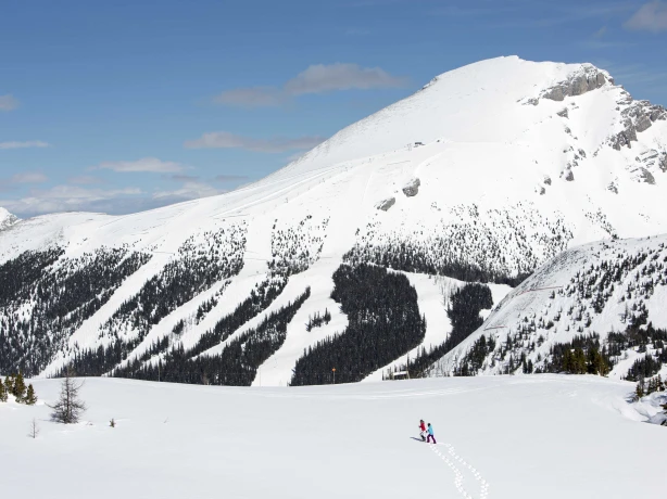 Can above banff national park aerial sunshine village snowshoe winter paul zizka incmsl