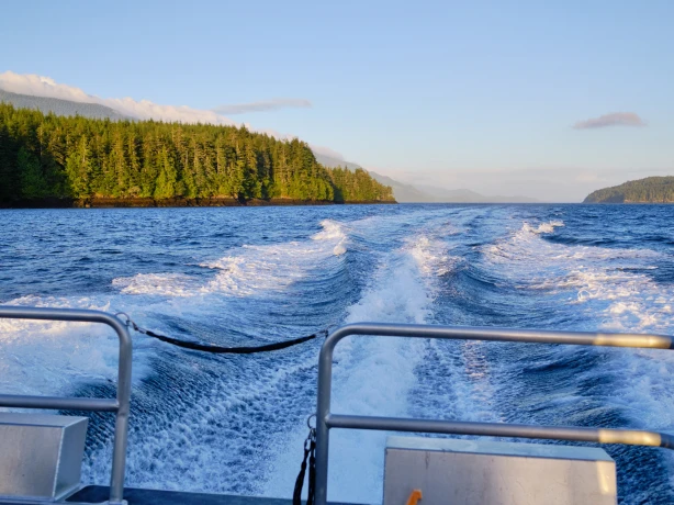 CA British Columbia Vancouver Island Telegraph Cove boattour