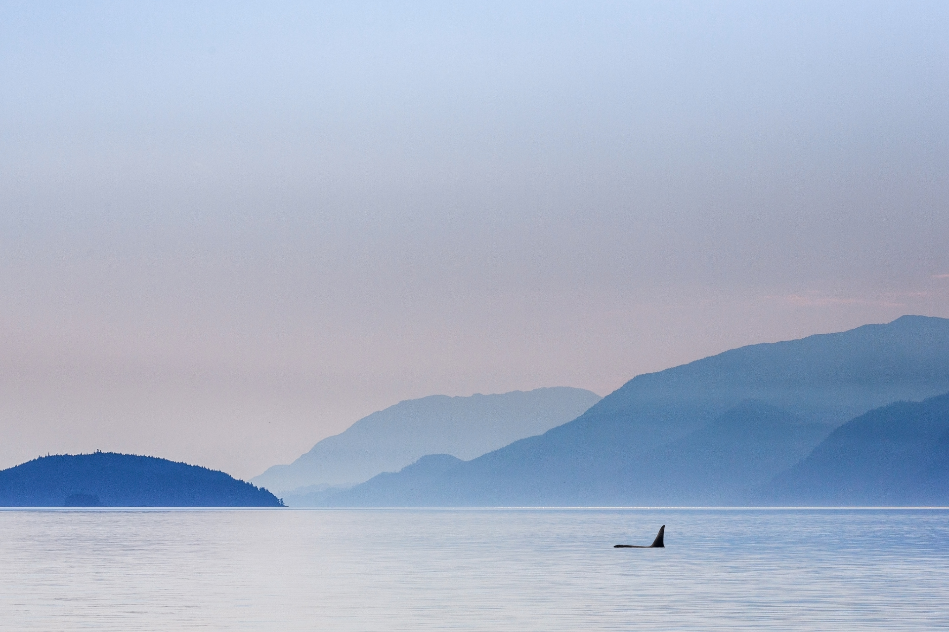 CA British Columbia Vancouver Island Telegraph Cove landscape