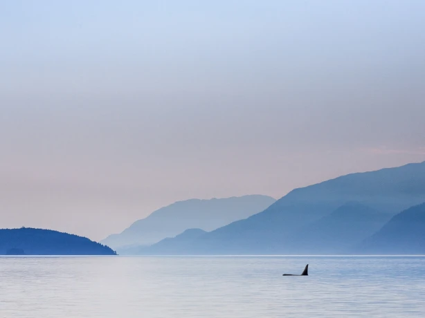 CA British Columbia Vancouver Island Telegraph Cove landscape